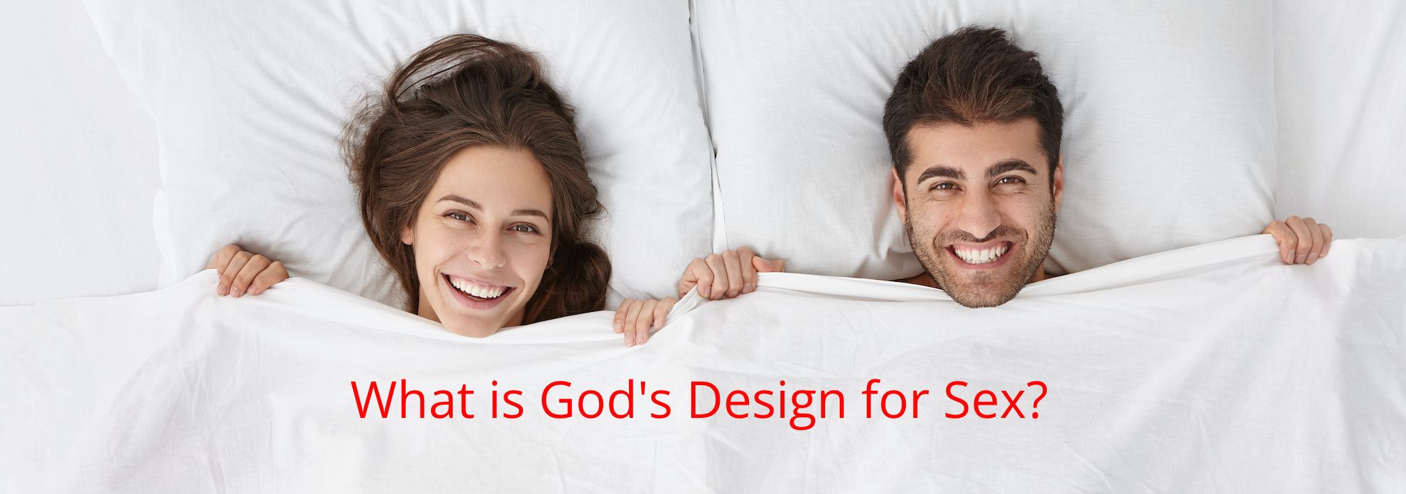 God's Design for Sex
